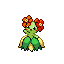Bellossom