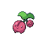 Cherubi