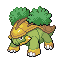 Grotle