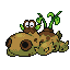 Hippopotato