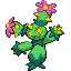 Maractus