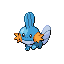 Mudkip