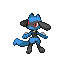Riolu