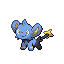 Shinx