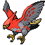 Talonflame