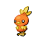 Torchic