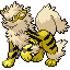 Arcanine shiny