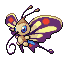 Beautifly shiny