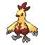 Combusken shiny