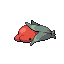 Corm shiny
