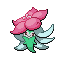Gossifleur shiny