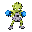 Hitmonchan shiny