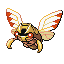 Ninjask shiny