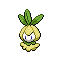 Petilil shiny
