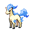 Ponyta shiny