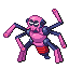 Spidops shiny