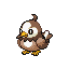 Starly shiny