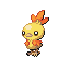 Torchic shiny