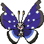 Vivillon shiny
