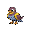 Wattrel shiny